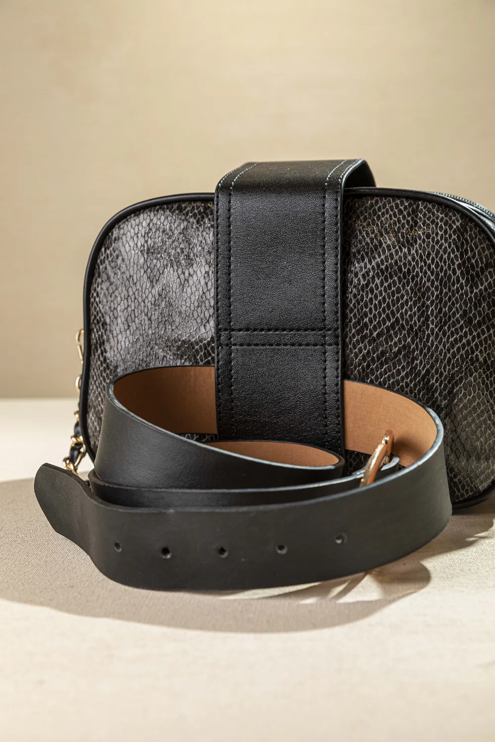 CA10-B-black-snake-3